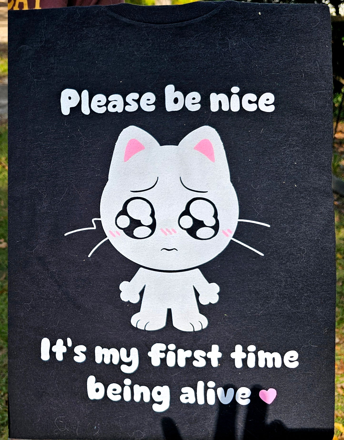 Please Be Nice T-Shirt